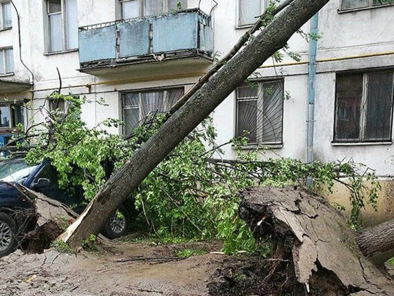 wpid-wpid-uragan-v-Moskve-29-05-2017-1011.jpg wpid-wpid-uragan-v-Moskve-29-05-2017-1011.jpg