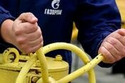 Киев хочет заменить российский газ травой и экскрементами